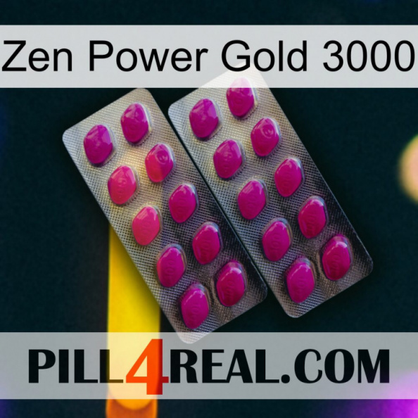 Zen Power Gold 3000 10.jpg